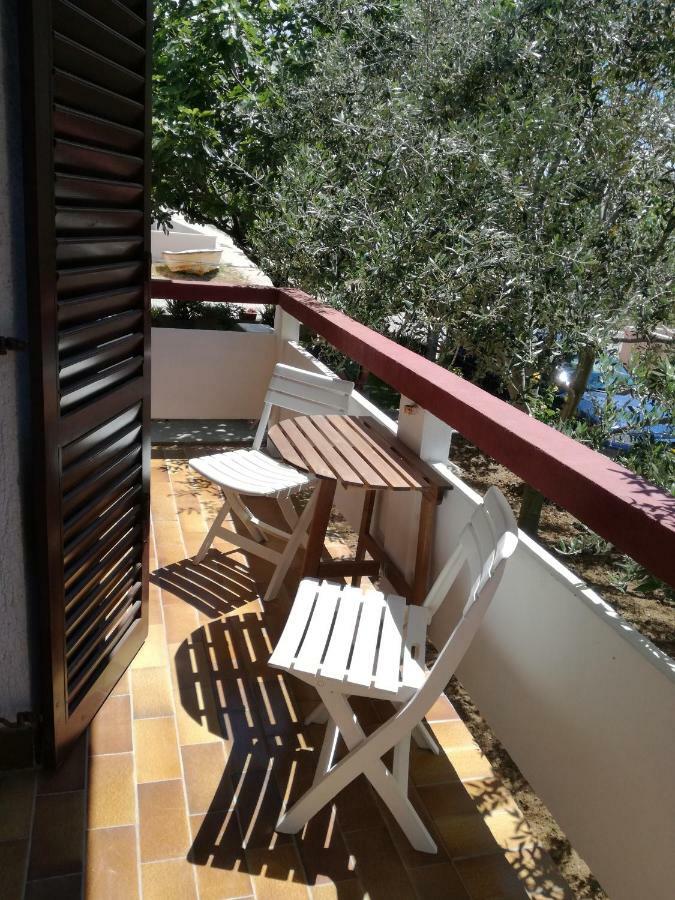 Aenona Sunny Apartment Vrsi Kültér fotó
